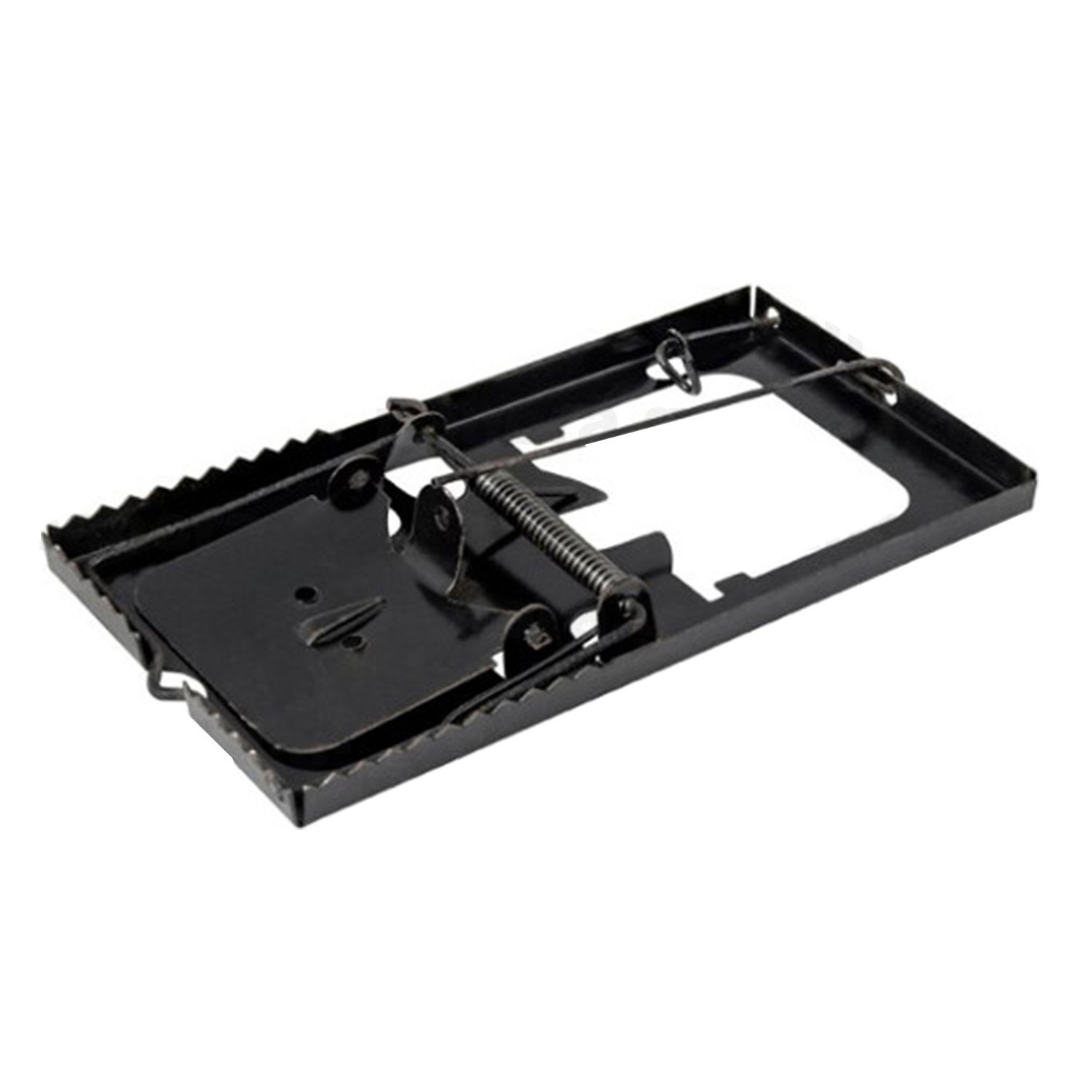 ΠΟΝΤΙΚΟΠΑΓΙΔΑ-ΦΑΚΑ ΜΕΤΑΛΛΙΚΗ ΠΑΡΑΔΟΣΙΑΚΗ