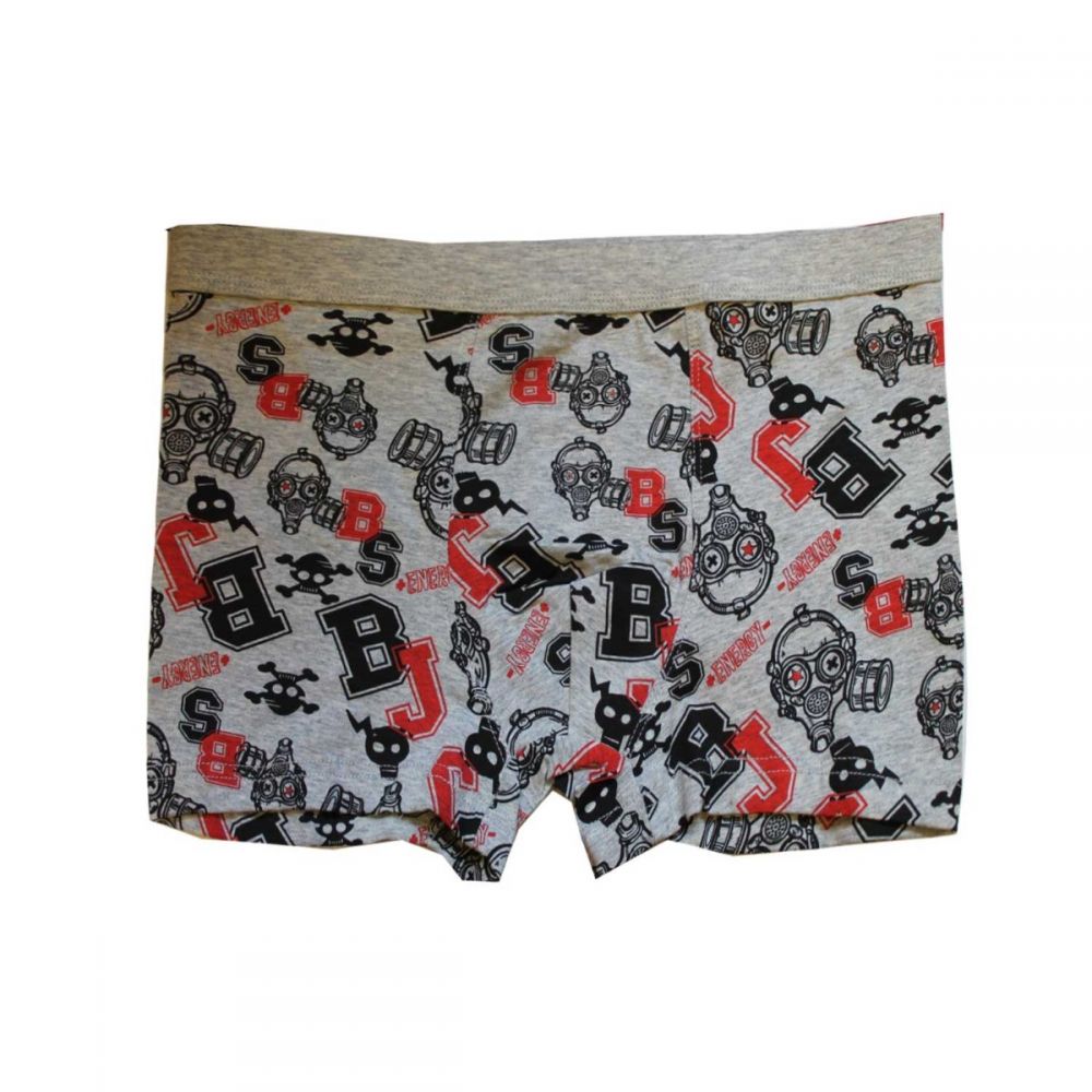 BOXER B. JOBSEN ΣΧΕΔΙΟ ΓΚΡΙ-M