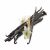 ΒΑΝΙΛΙΑ FRUCTUS UGANDA GOURMET (STICKS)