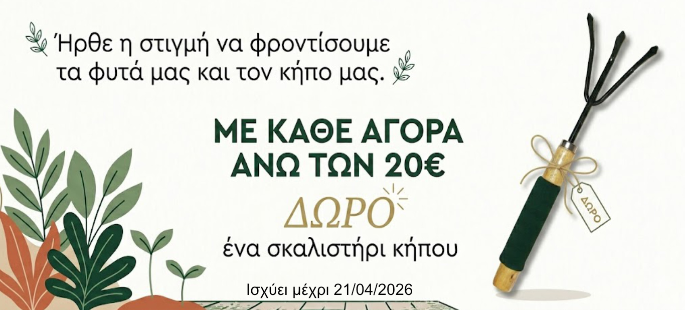 σκαλιστηρι δωρο